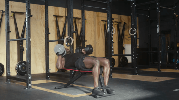 chest-press-dumbbells