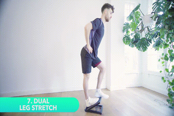 kneesovertoesguy squat