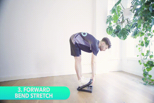 kneesovertoesguy squat
